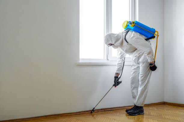 Best Emergency Pest Control  in Fort Knox, KY