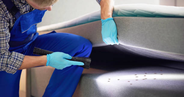 Best Termite Control Services  in Fort Knox, KY