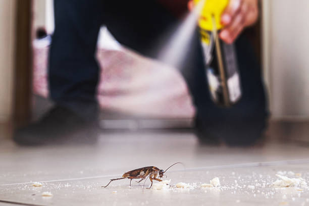 Best Cockroach Control Services  in Fort Knox, KY