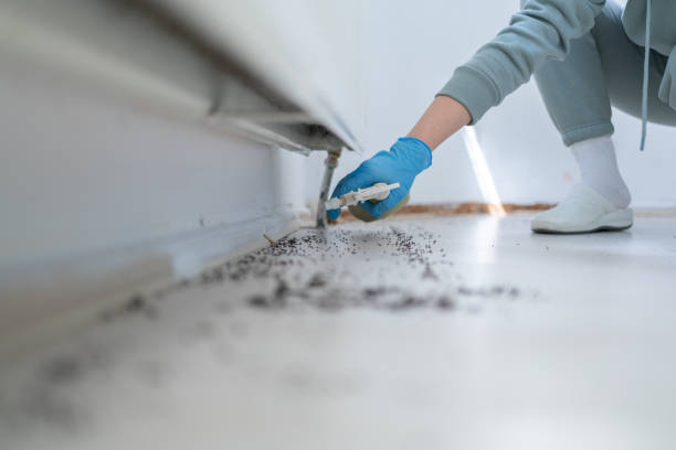 Best Pest Removal Services  in Fort Knox, KY